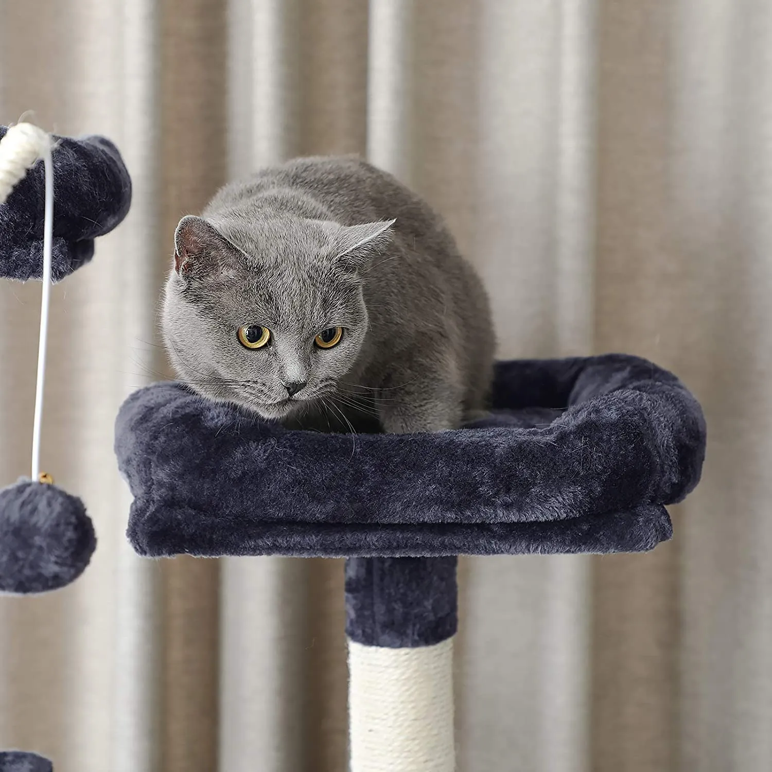 64.6" Large Cat Activity Center with Hammock