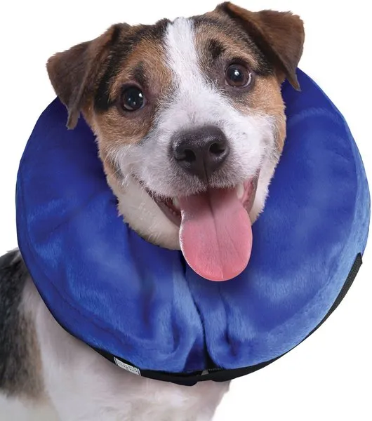 KONG Cloud Protective Collar For Dogs & Cats