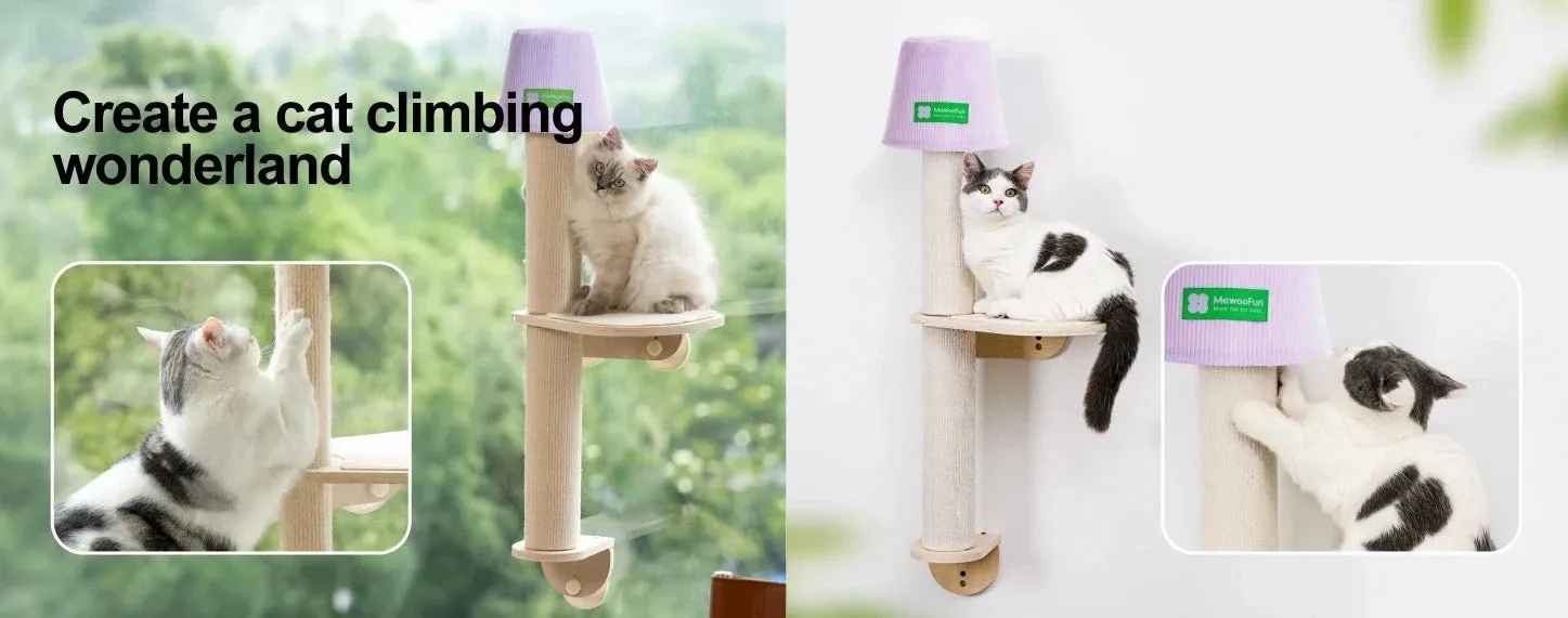 Lamp Shape Window Perch with Scratching Post