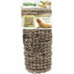 Lizard Natural Window Sun Lover Lounger