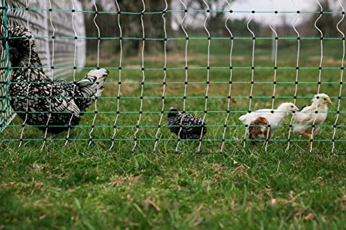 RentACoop Electric Anti-Predator Poultry Fence - Suitable for Chickens, Ducks, Turkeys, and Other Poultry - Energizer Not Included