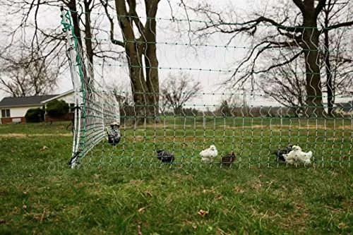 RentACoop Electric Anti-Predator Poultry Fence - Suitable for Chickens, Ducks, Turkeys, and Other Poultry - Energizer Not Included