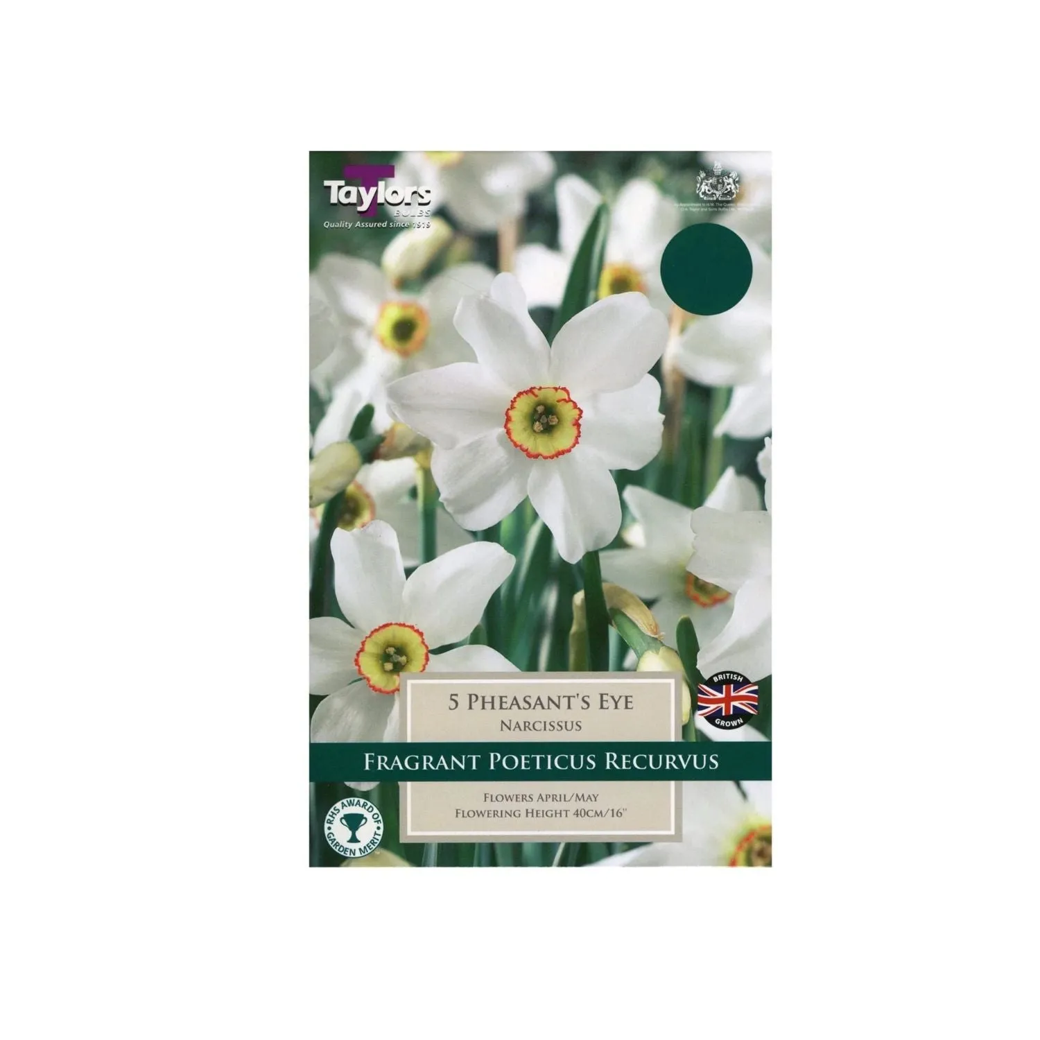 Taylors 5 Narcissi Pheasant's Eye Bulbs