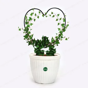 Urban Plant Heart Shaped Trellis for Climbing Plants - (Pack of 2)